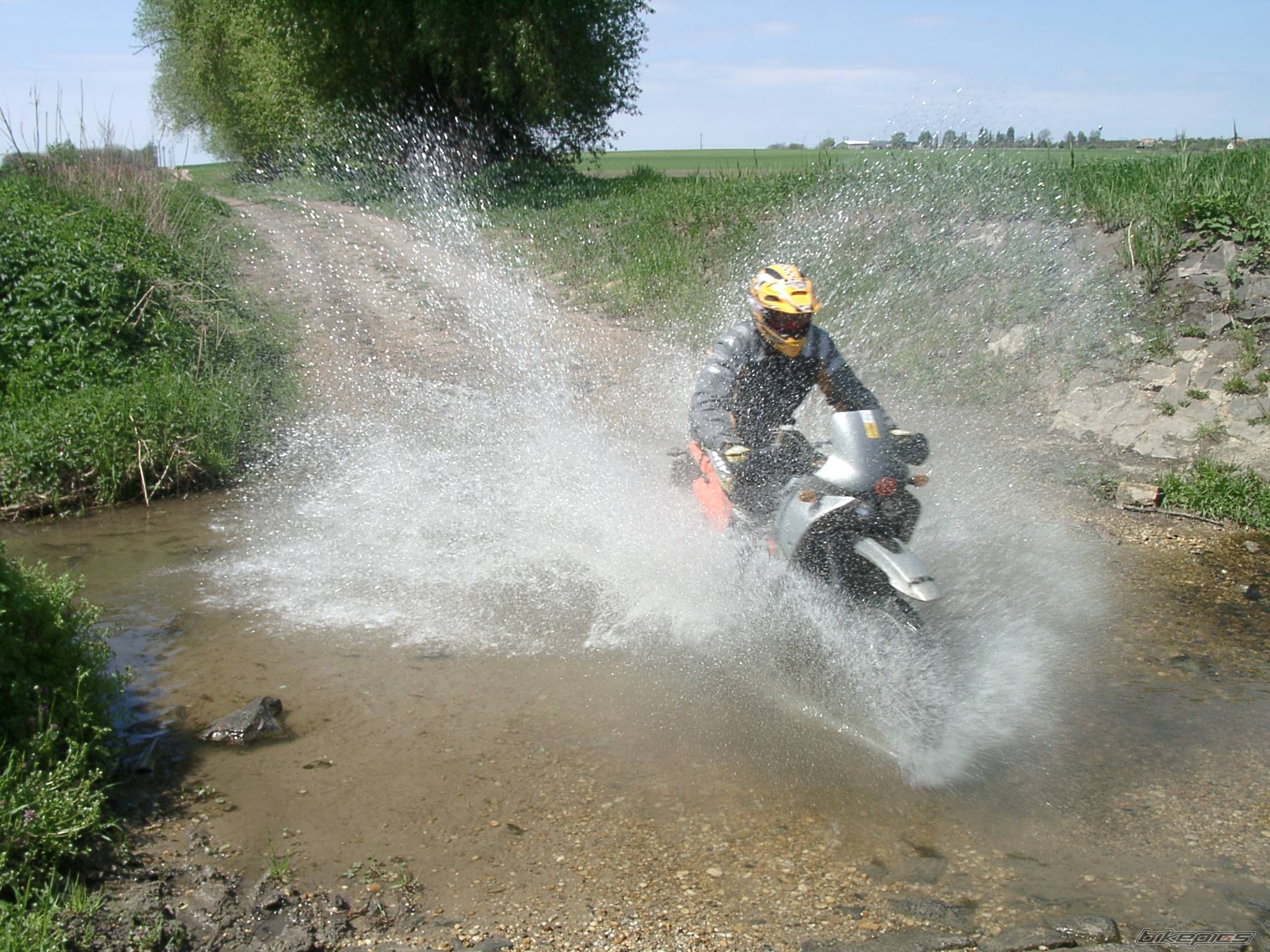 Photo 287420