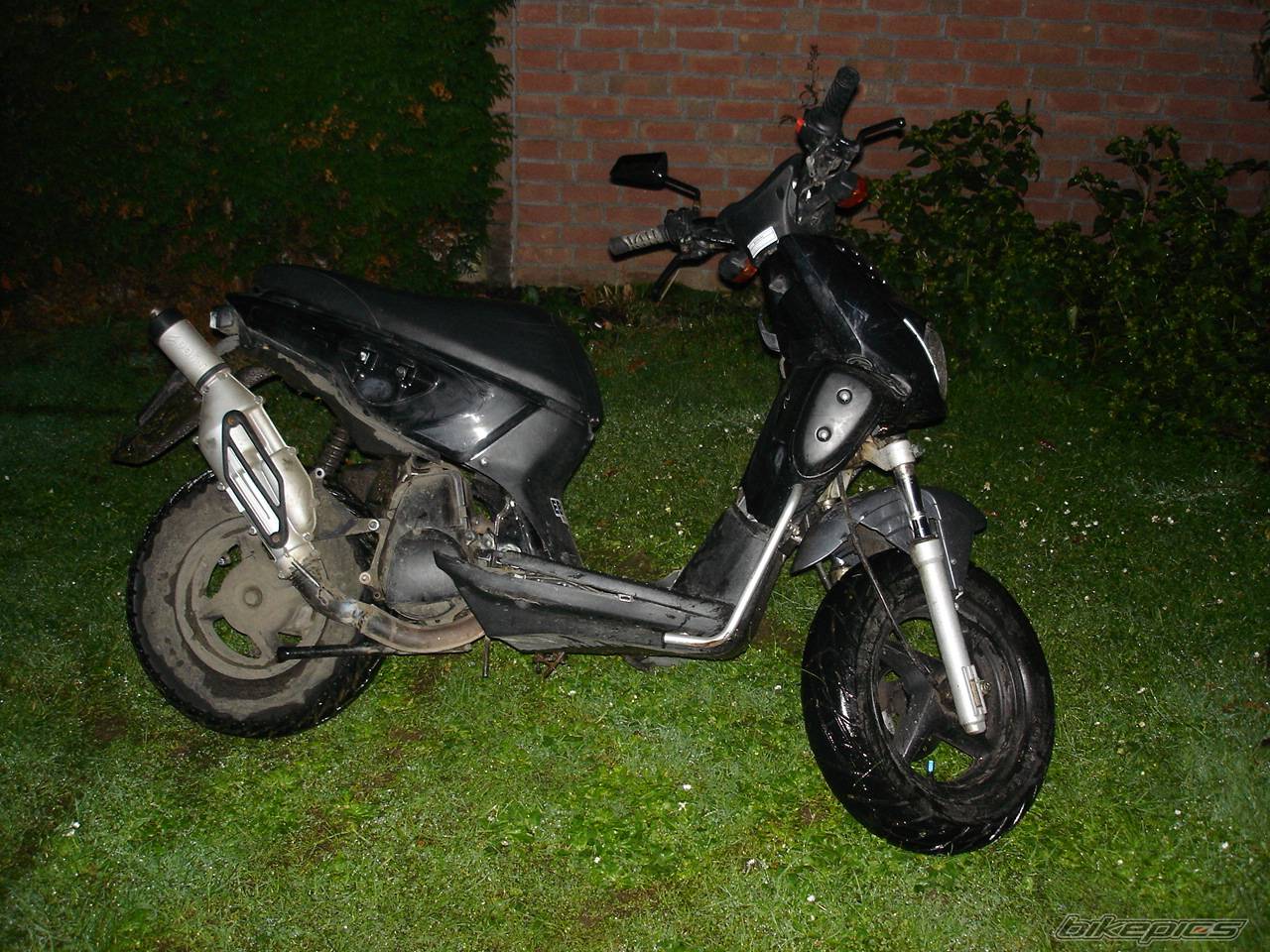 Photo 287493