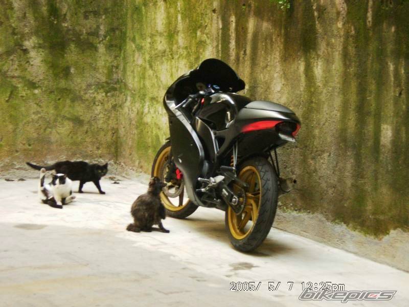 Bike Photo 287519