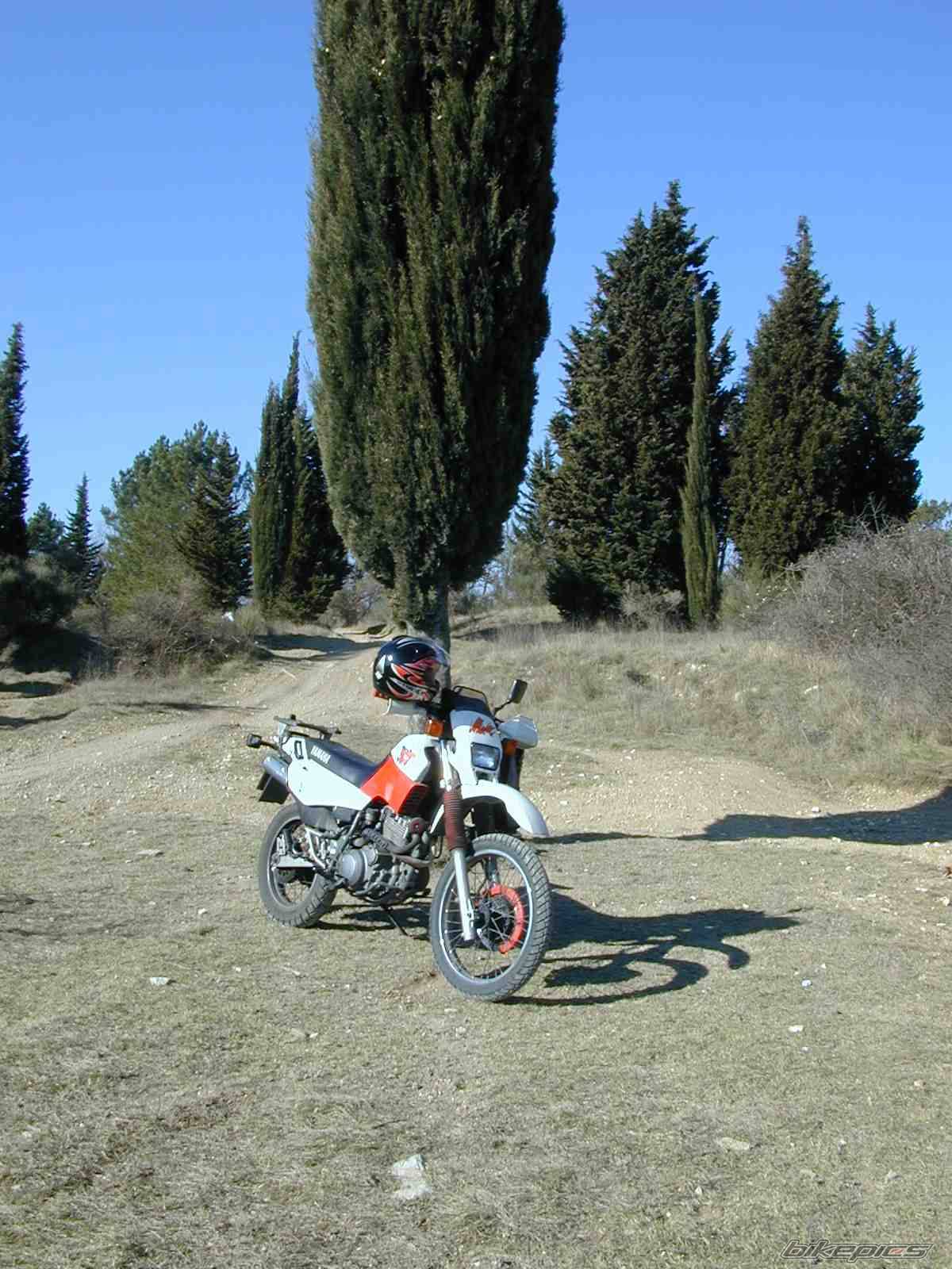 Photo 287657