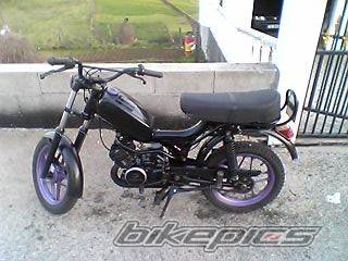 Photo 287757