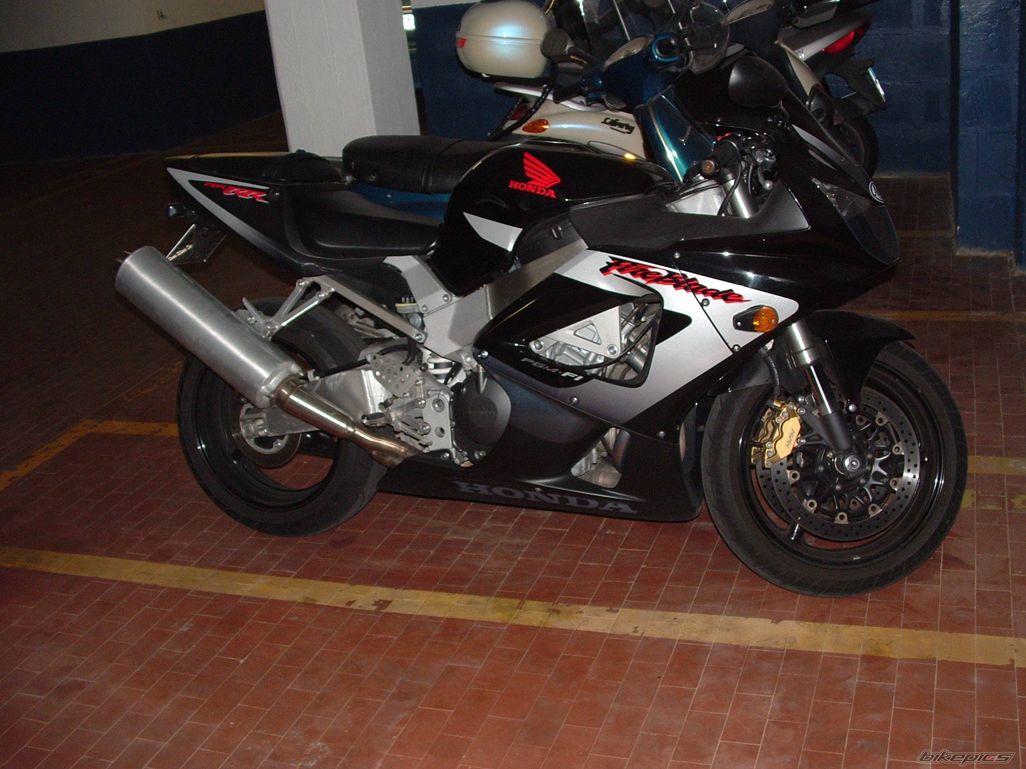 Photo 287781