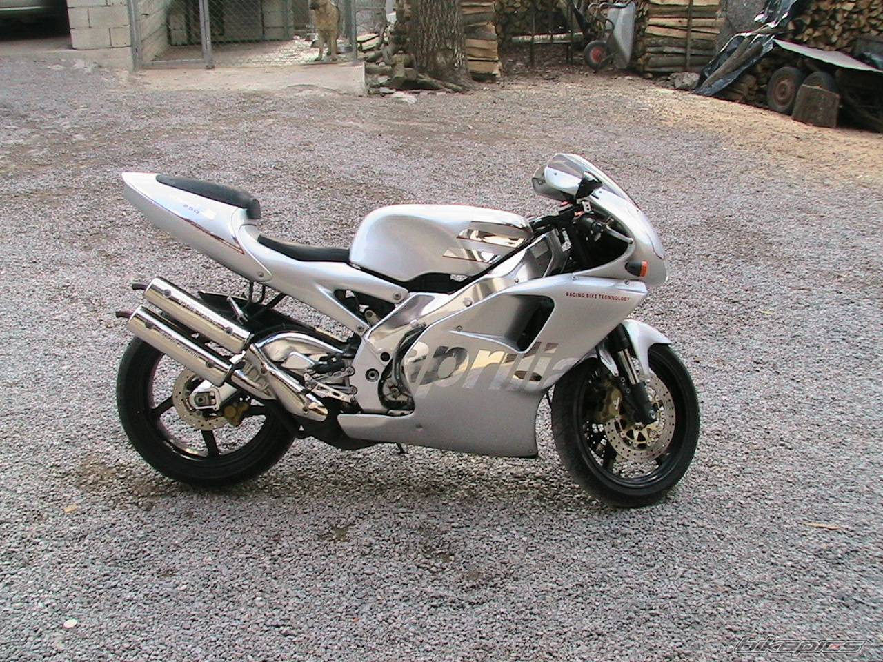 Photo 287825