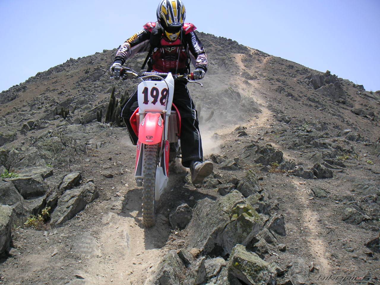 Bike Photo 287837