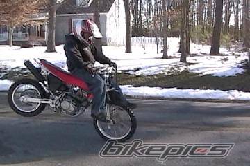 Photo 287863