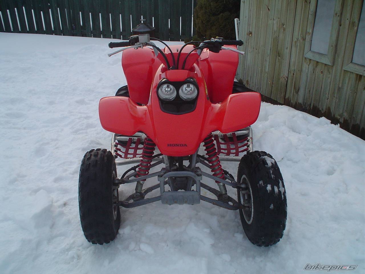 Photo 287875