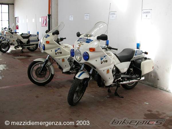 Photo 287939