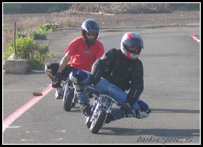 Photo 287994