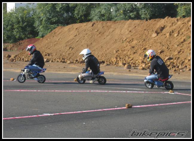 Photo 287995