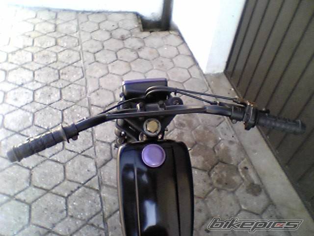 Photo 288059