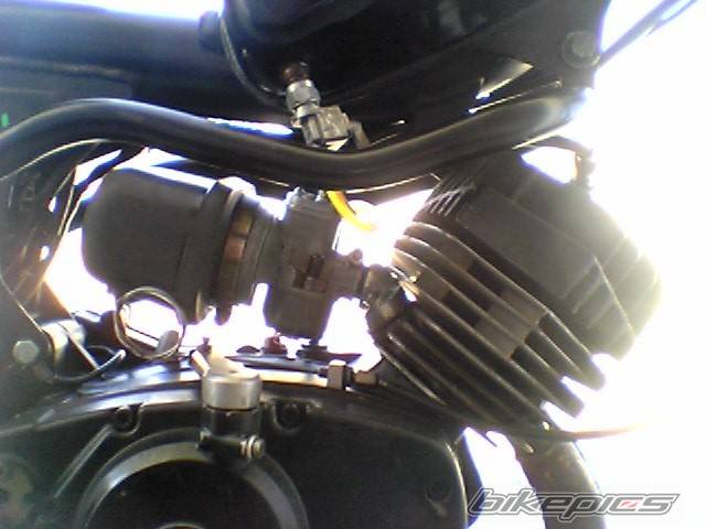 Photo 288064