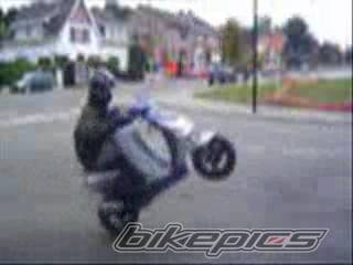 Photo 288223