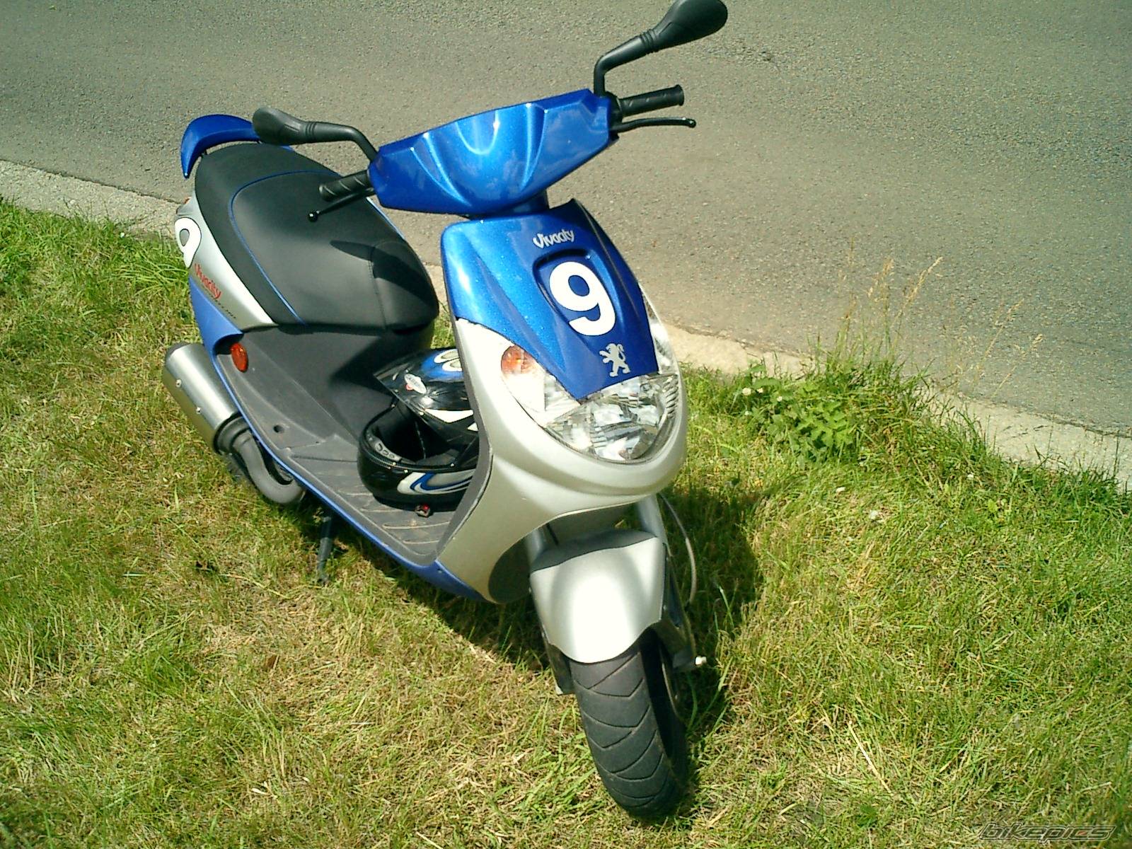 Photo 288226