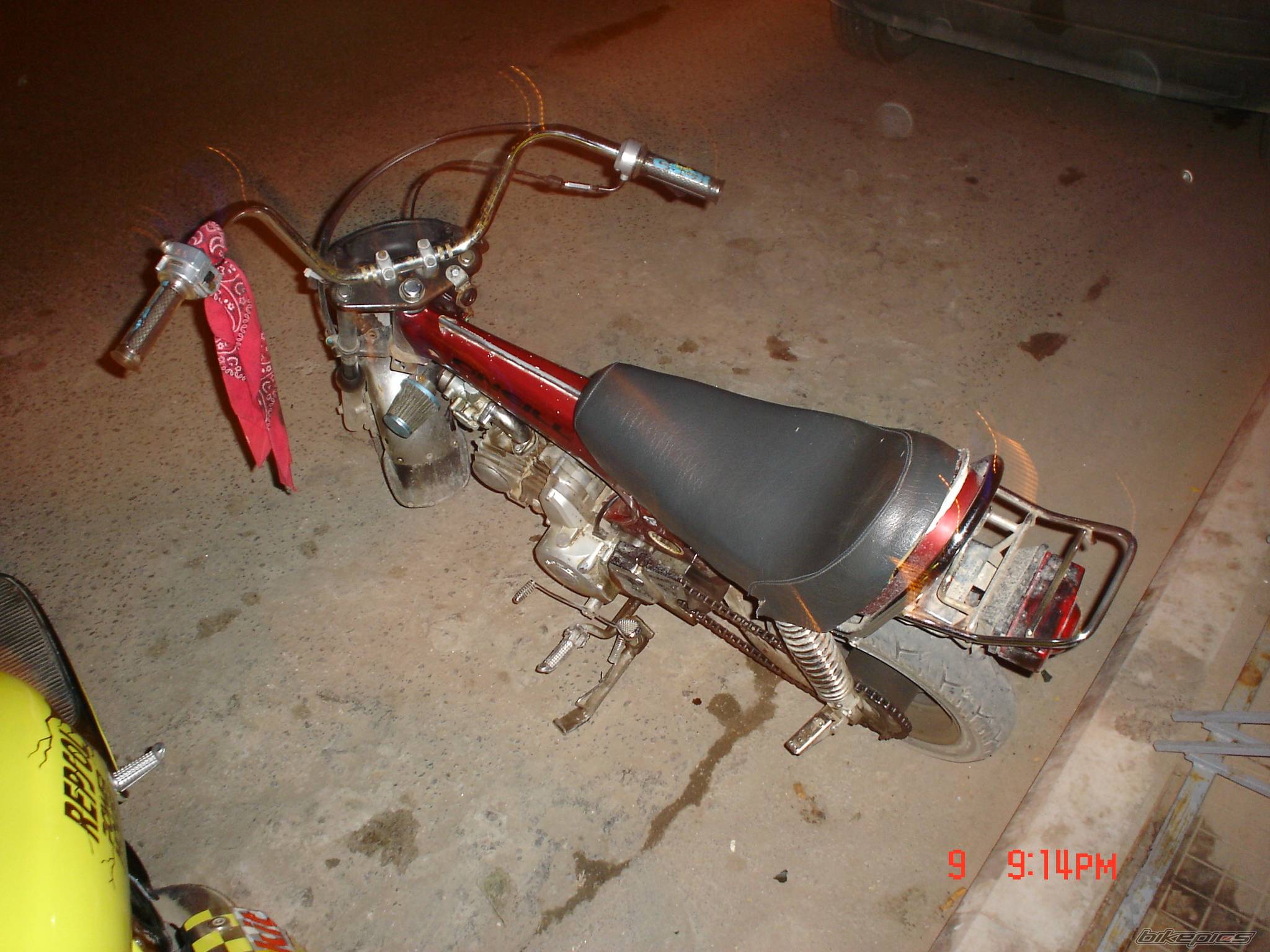 Photo 288258