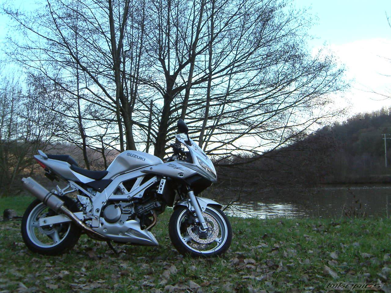 Photo 288335