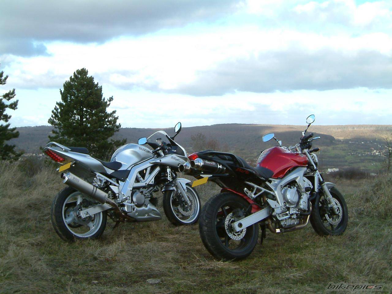 Photo 288340