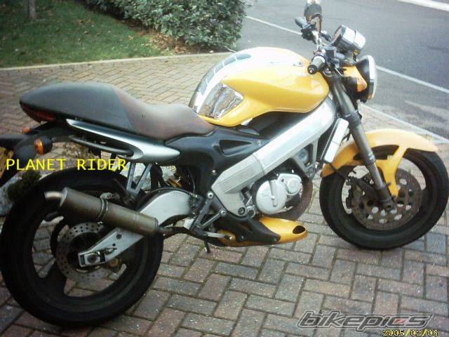 Photo 288342