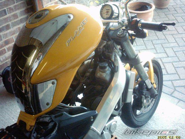 Photo 288344