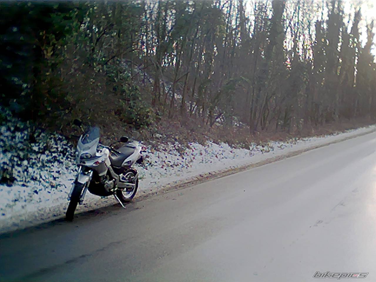 Photo 288360