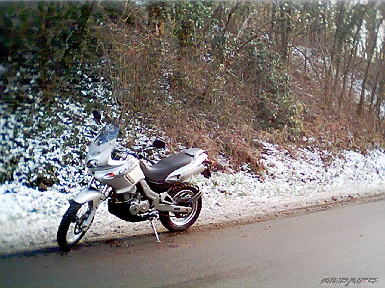 Photo 288362