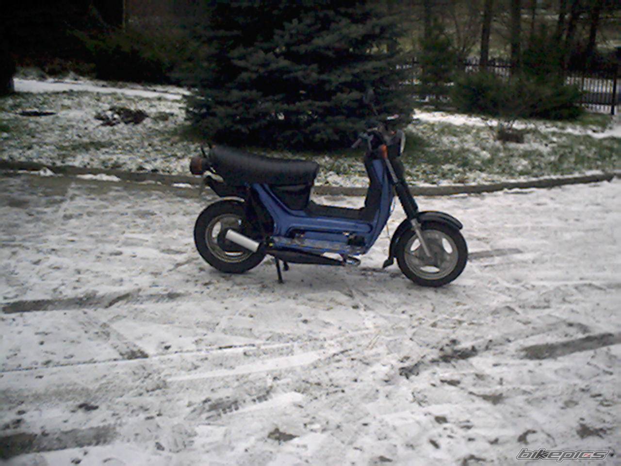 Photo 288402