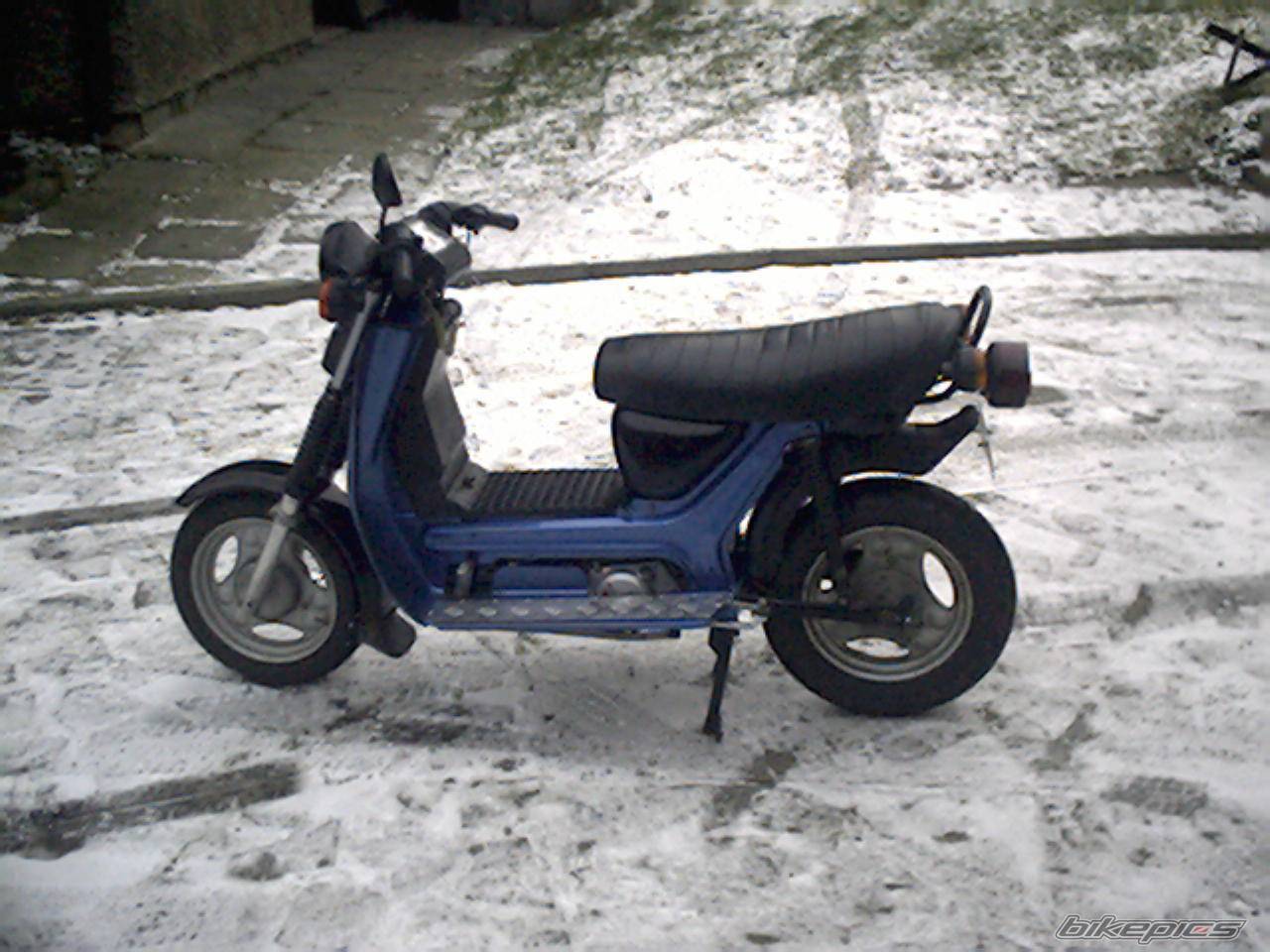 Photo 288404