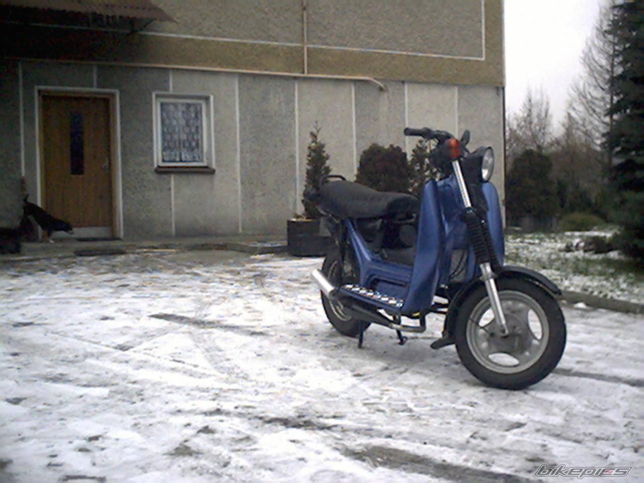 Photo 288407
