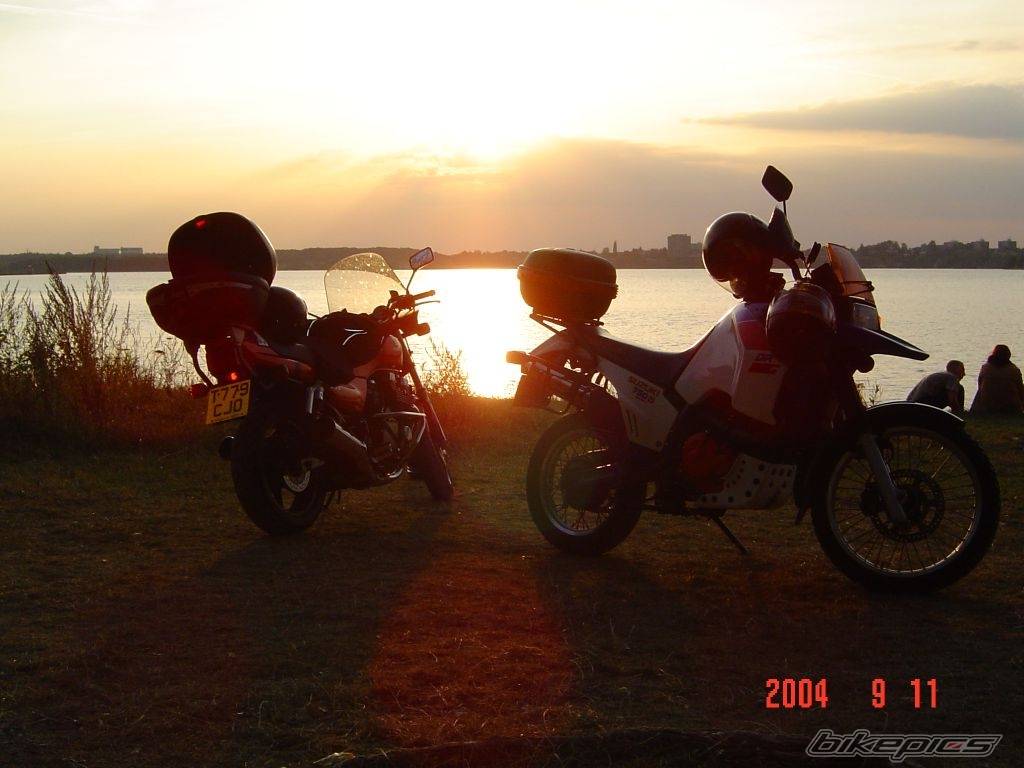 Photo 288427
