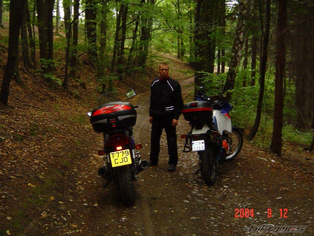 Photo 288433