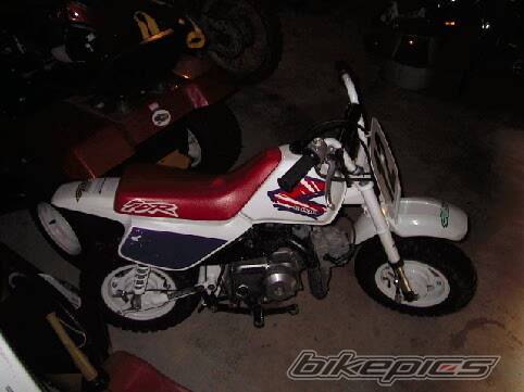Photo 28845