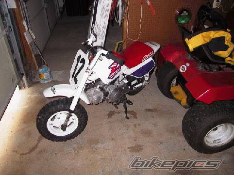 Photo 28846