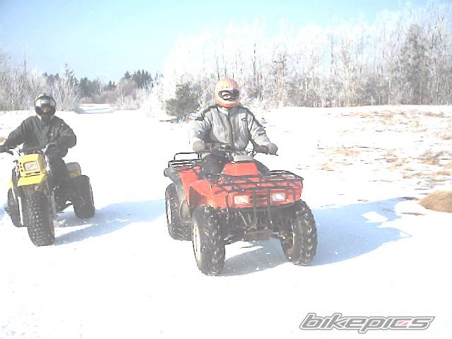 Photo 288470