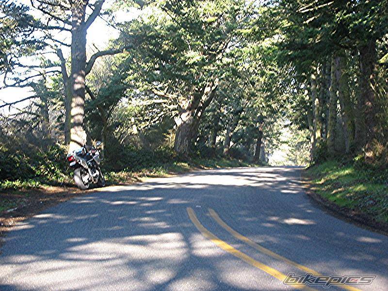 Bike Photo 288483