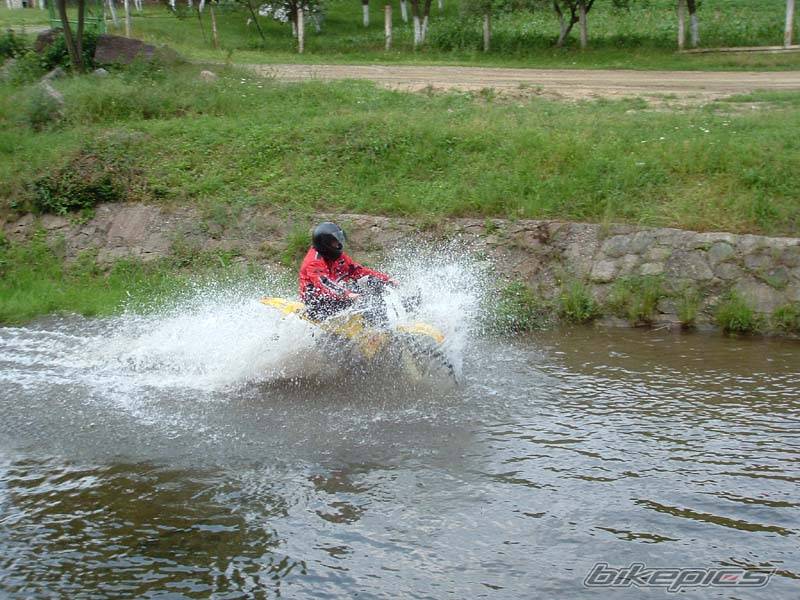 Photo 288557