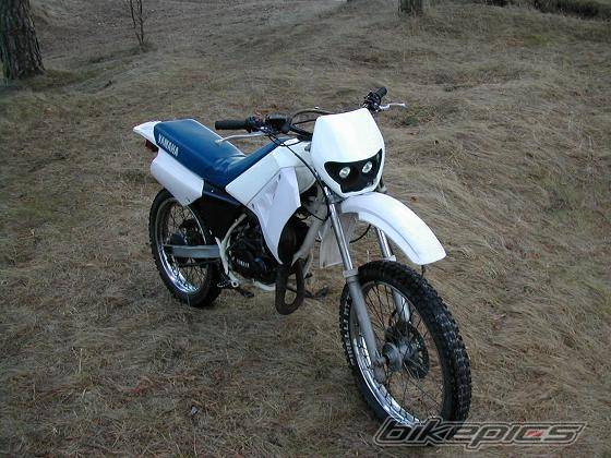 Photo 288588
