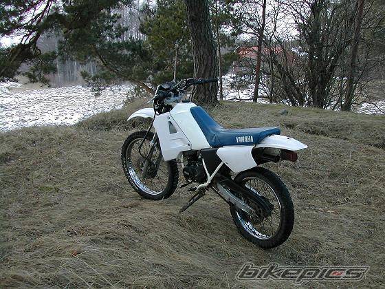 Photo 288589
