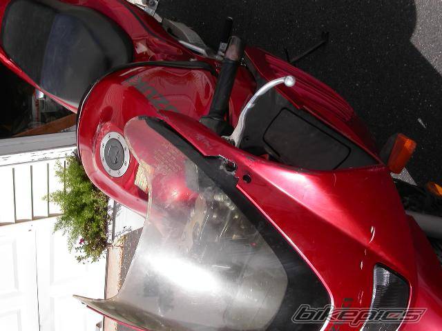 Photo 288595