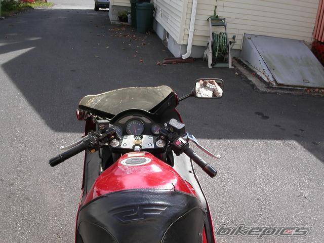 Photo 288598