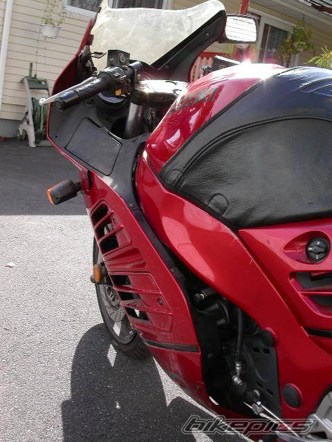 Photo 288601