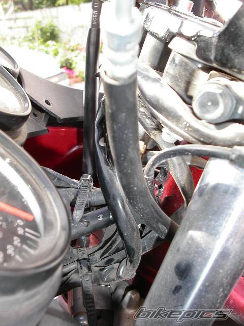 Photo 288604
