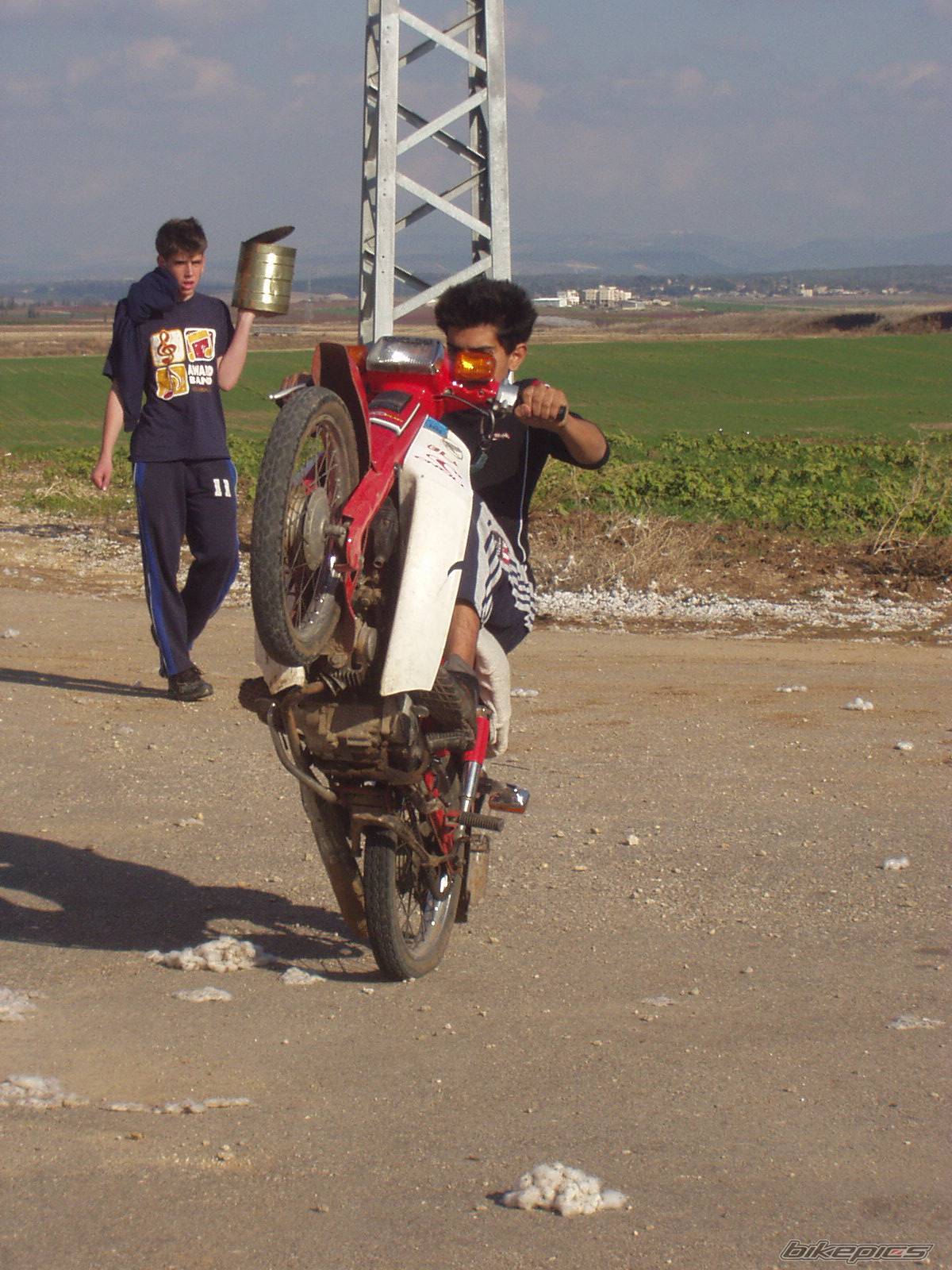 Photo 288652