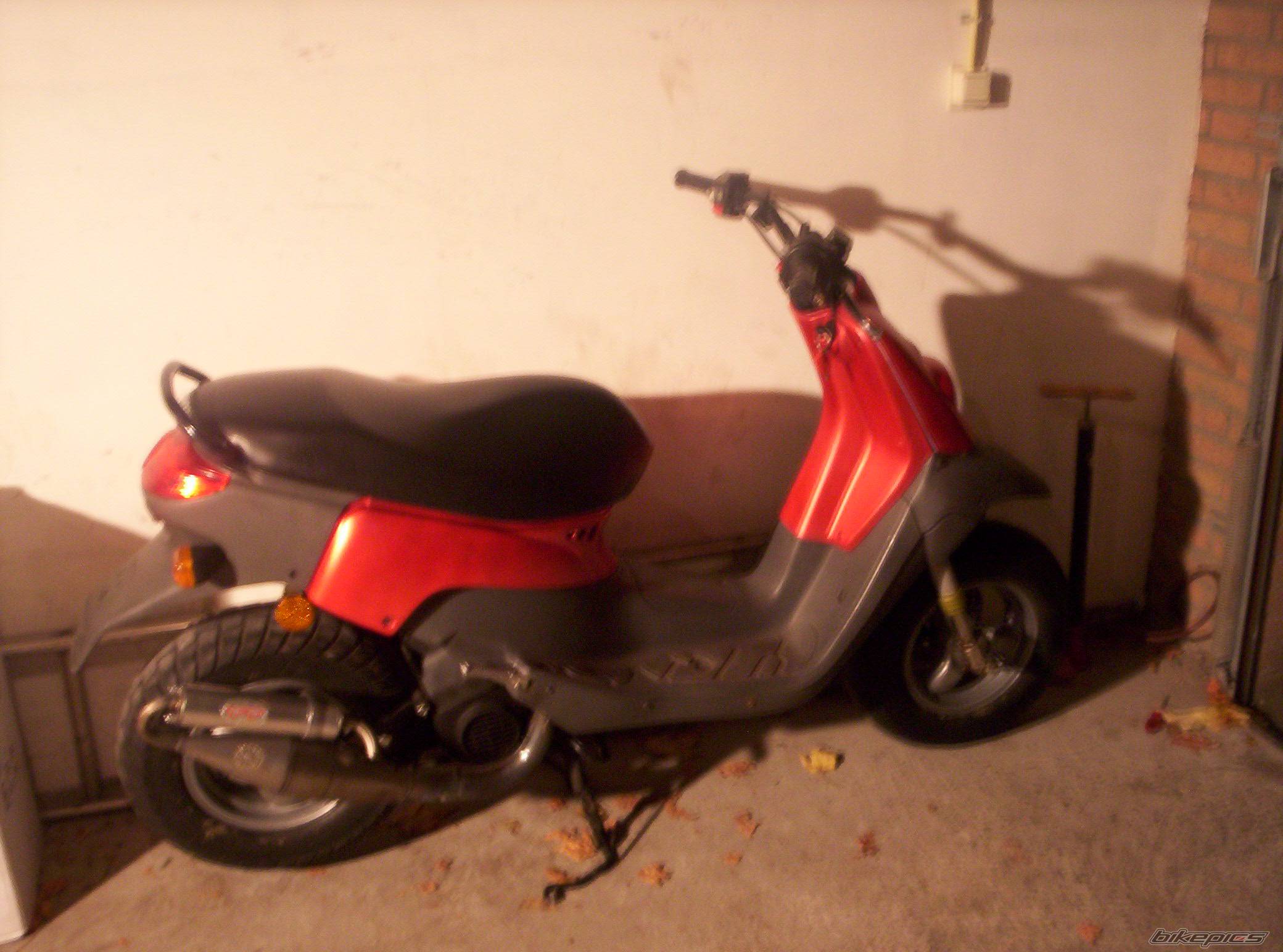 Photo 288675
