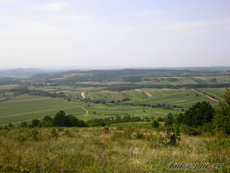 Photo 288754