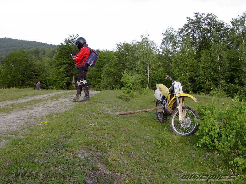 Photo 288764