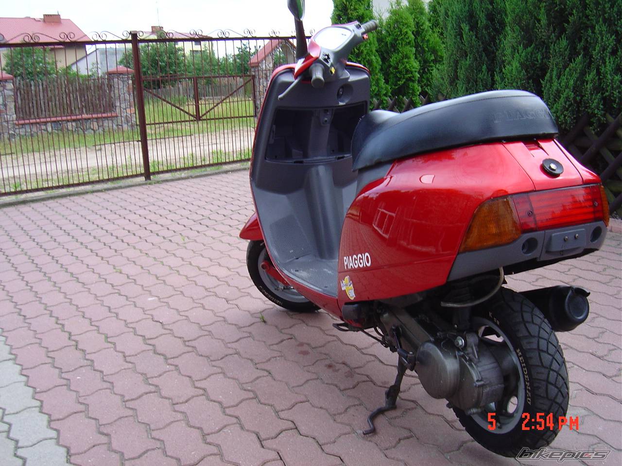 Photo 288799