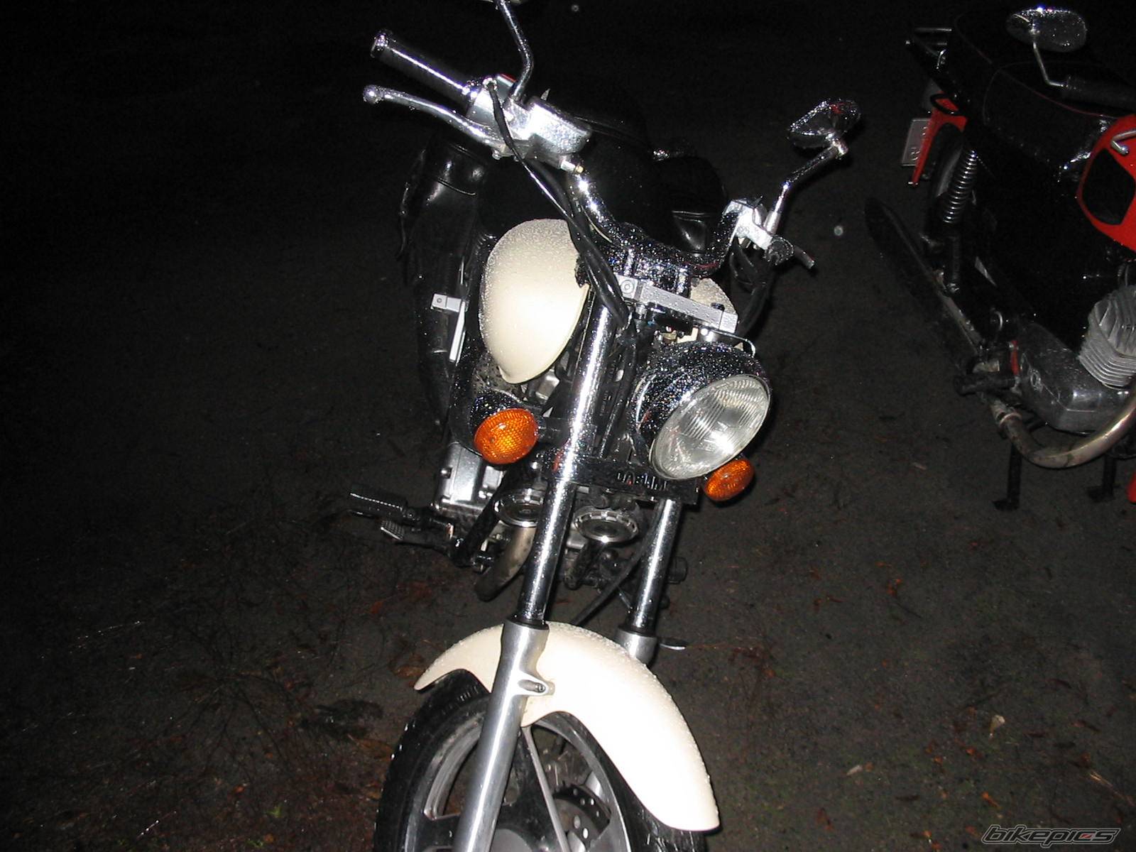Photo 288829