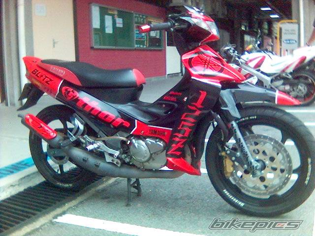 Photo 288833