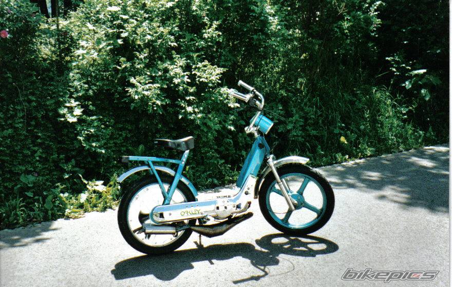 Photo 288835