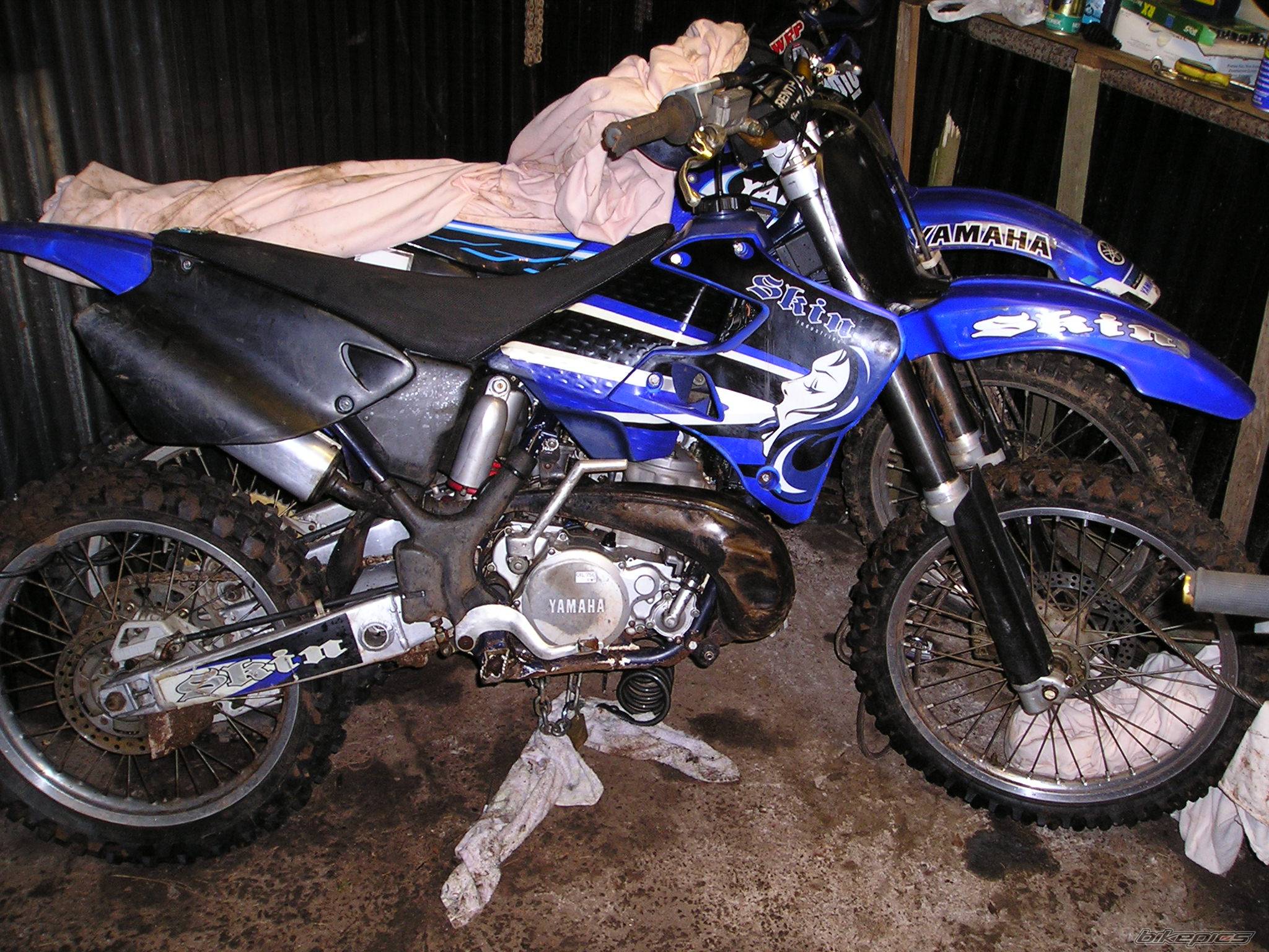 Photo 288879