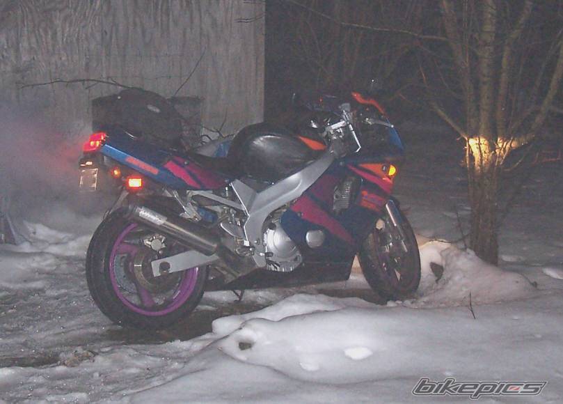 Photo 288948